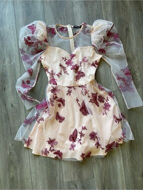 Puff Sleeve Butterfly Embroidered Mini Party Dress Fairycore Whimsigoth